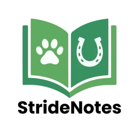 StrideNotes Logo