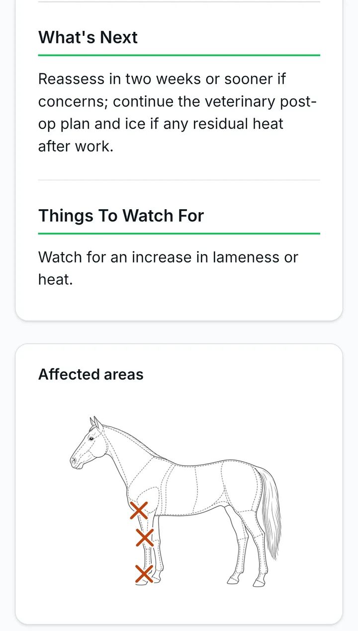 An owner report on a phone with What's Next, Things To Watch For, and a horse diagram marking the affected areas